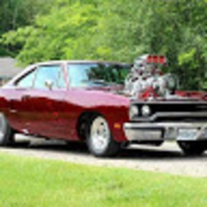 Meet your Posher, Raven